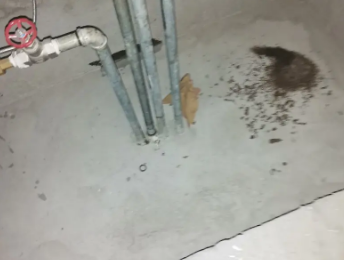 班玛卫生间测漏水价格明细